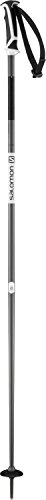 Salomon Arctic Ski Pole, Black, 135