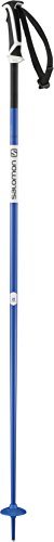 Salomon Arctic Ski Pole, Blue, 130