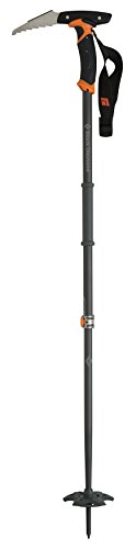 Black Diamond Whippet Ski Pole