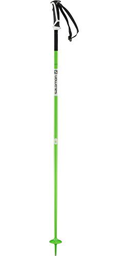 Salomon Arctic Ski Pole, Green, 120