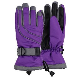 Women’s Thinsulate Lined Waterproof Ski Glove (Purple/Grey, Small/Medium)