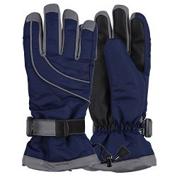 Women’s Thinsulate Lined Waterproof Ski Glove (Navy/Grey, Small/Medium)