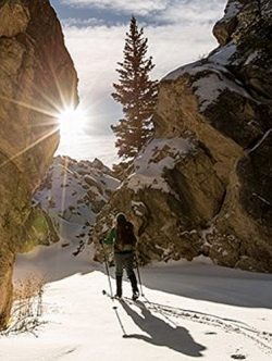 Cross Country Skiing