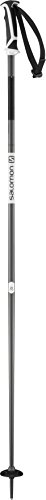 Salomon Arctic Ski Pole, Black, 130