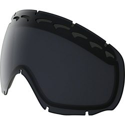 Oakley Men’s Crowbar Snow Goggle Replacement Lens, Dark Grey, Dark Grey, Medium