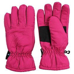 Women’s Insulated Waterproof Microfiber Winter Snow Ski Gloves (Pink, Medium)